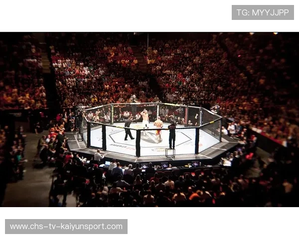 格斗UFC：顶级对决，擂台火爆！，世界顶级ufc格斗比赛视频